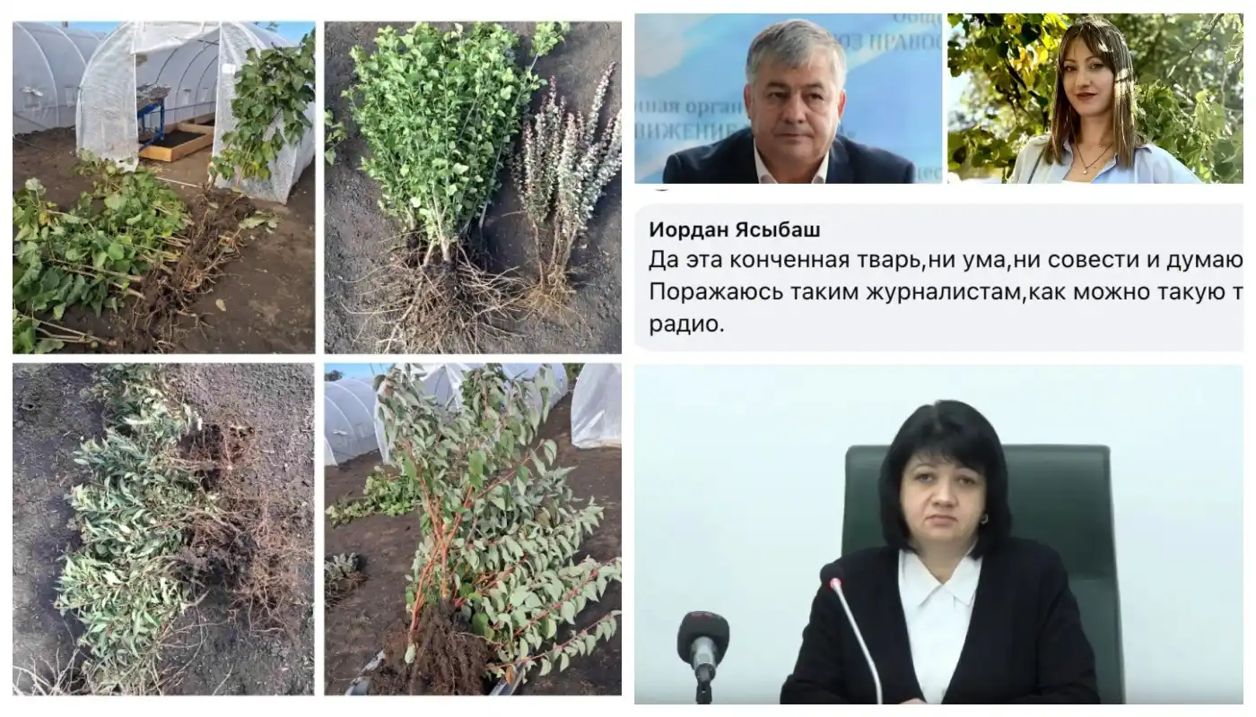 Топ материалов недели