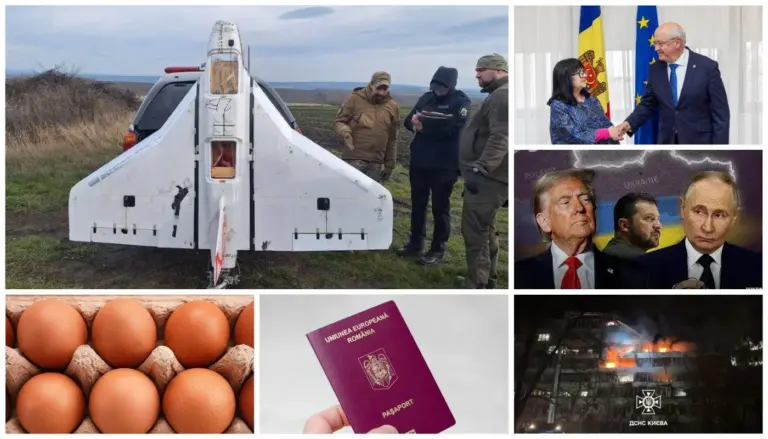25 ноября