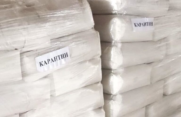 ANSA уничтожила 2 тонны картофельного крахмала с ГМО
