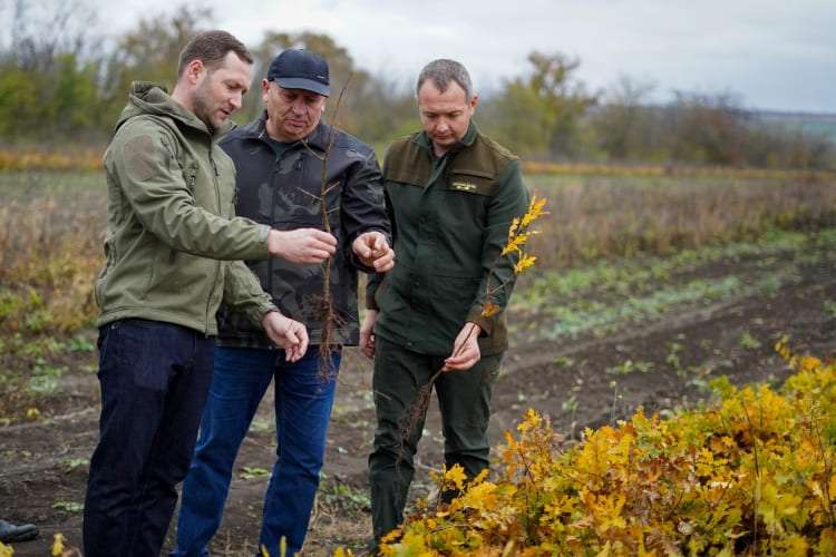 15 ноября в Молдове стартует масштабная кампания по посадке леса — принять участие могут все желающие