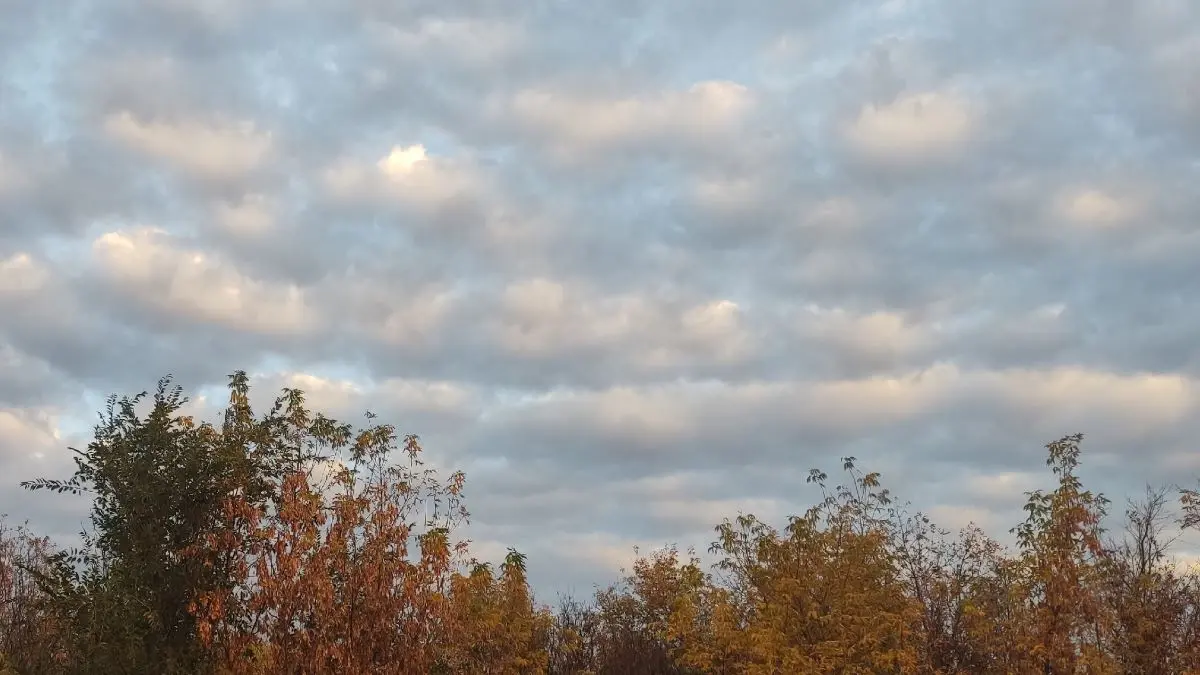 облачно осенью