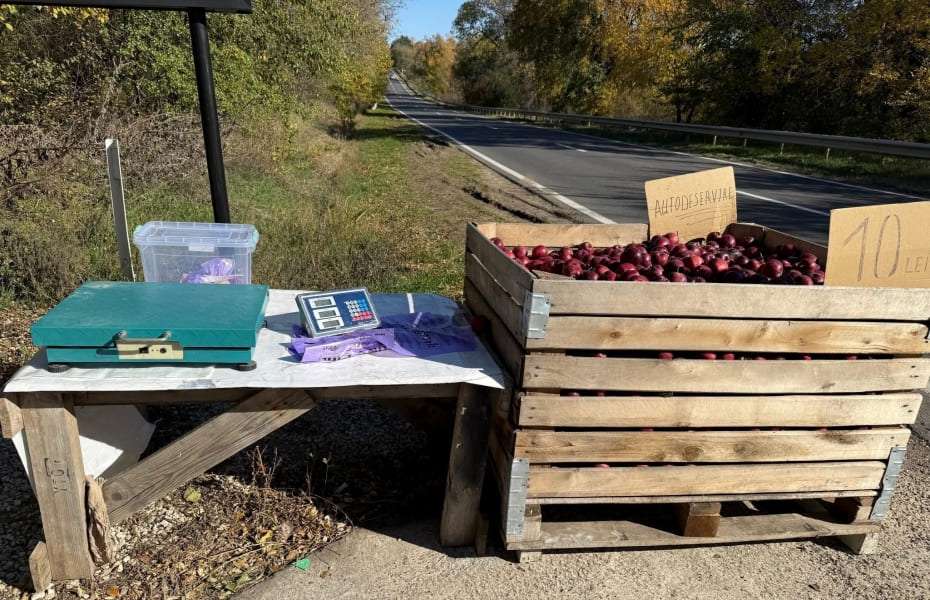 «Мы доверяем людям»: на трассе Кишинёв–Криуляны продают яблоки без продавца