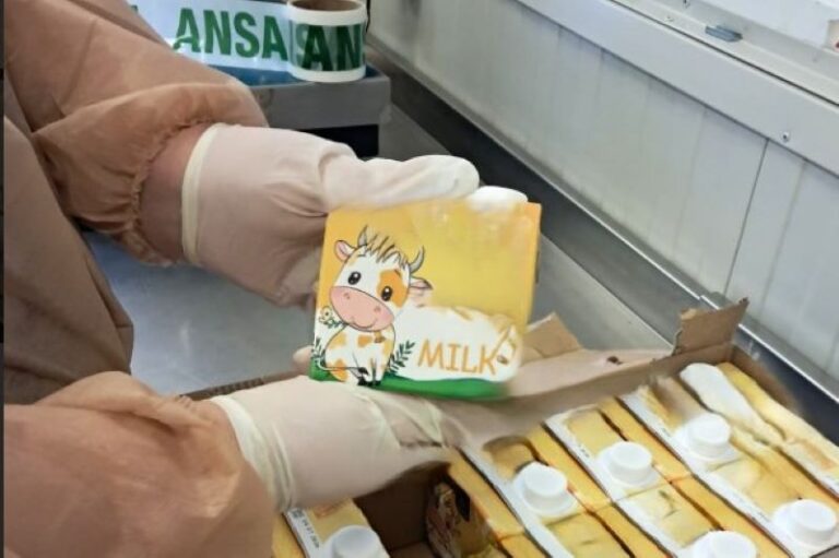 В Молдову пытались ввезти 2 тонны «фруктовой» продукции без фруктов — партию задержали