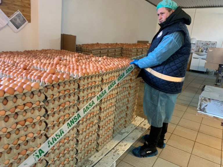 В Молдове отзывают партию куриных яиц из-за следов антибиотиков