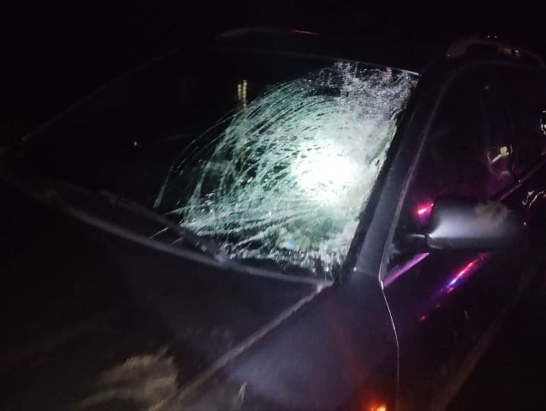 В Унгенском районе автомобиль насмерть сбил пешехода