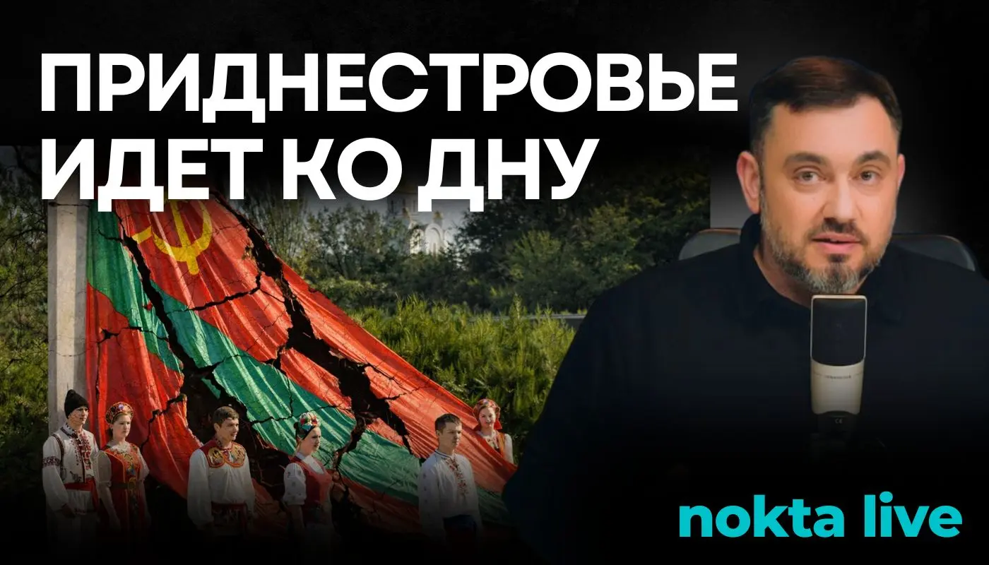 nokta live