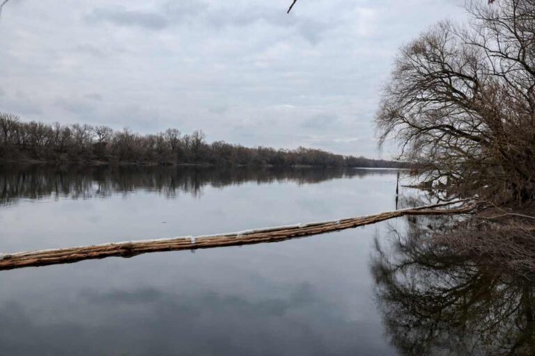 На Днестре возможна новая волна загрязнения — власти усиливают меры реагирования