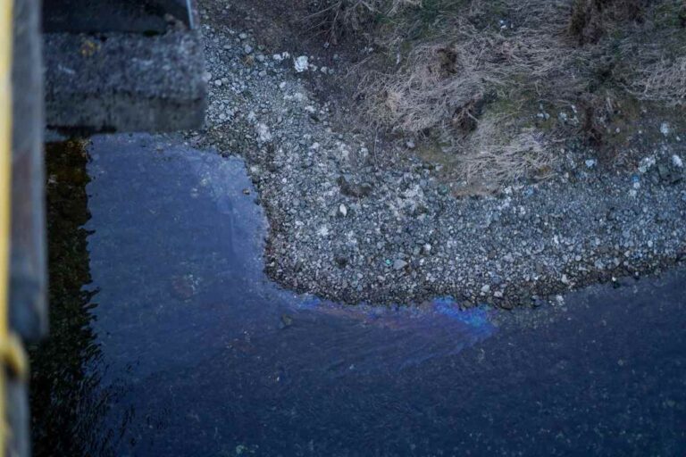 Министр экологии обвинил Чебана в манипуляциях с анализами воды в Днестре