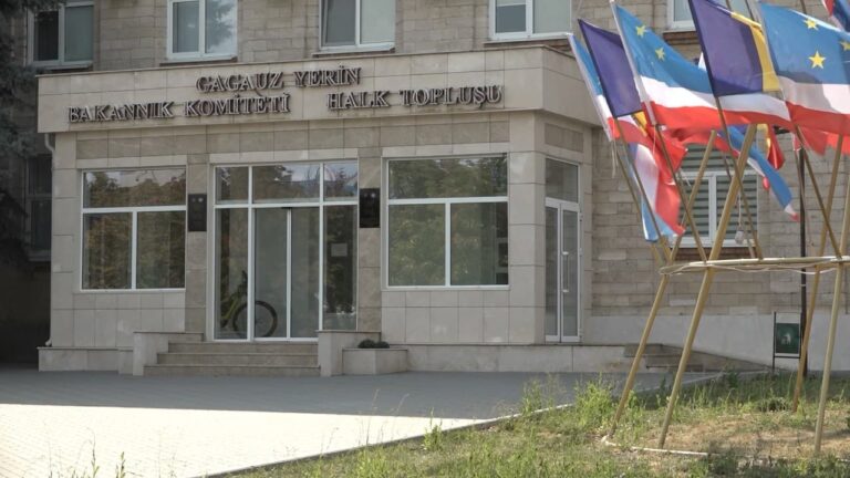 Выборы в НСГ