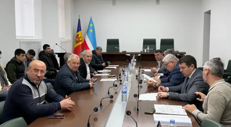 Выборы без даты: в Комрате обсуждали правила выборов, но в основном ругали Кишинёв