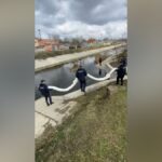 (ФОТО/ВИДЕО) В Кишинёве локализовали загрязнение реки Бык