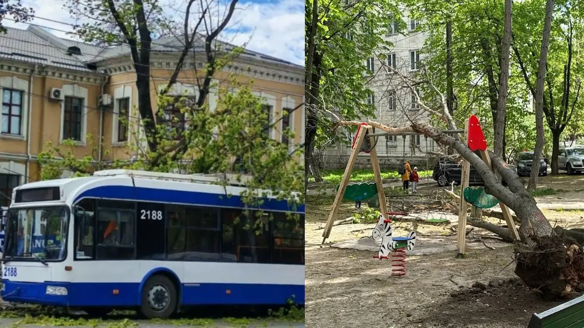 Ураган в Кишинёве: деревья упали на троллейбус и посреди детской площадки