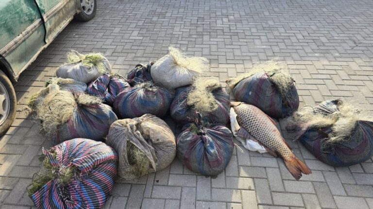 На озере Белеу поймали браконьеров во время запрета на рыбалку: ущерб — почти 150 тыс. леев