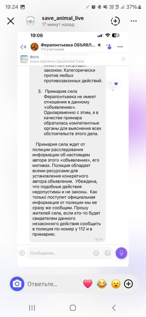 Примария Ферапонтьевки отреагировала на сообщения об отстреле собак: «Это незаконно»