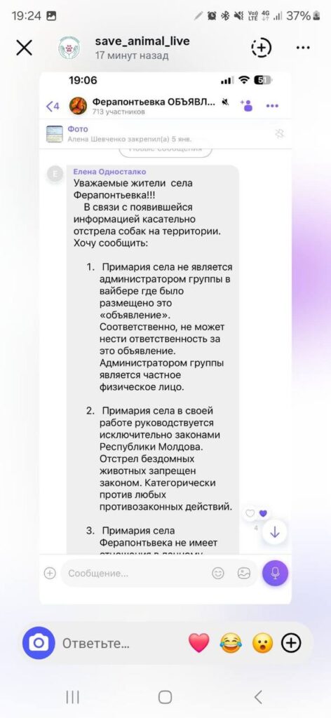 Примария Ферапонтьевки отреагировала на сообщения об отстреле собак: «Это незаконно»