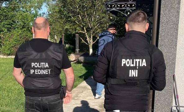 В трёх районах Молдовы прошли обыски по делу о незаконной вырубке леса: задержаны семь человек