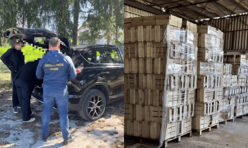 Фермера в Молдове обманули на 350 тысяч леев при покупке фруктов