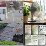 Способы спасения от жары, трагедия в роддоме и стая лис в Комрате и бегство осужденных в Приднестровье — итоги недели на nokta