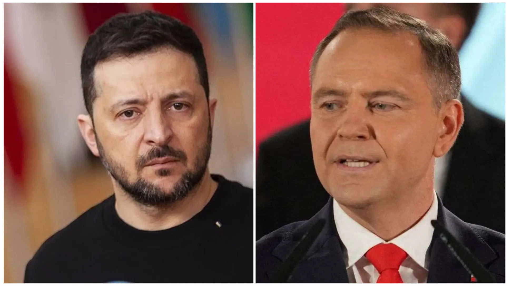 Зеленский и Навроцкий