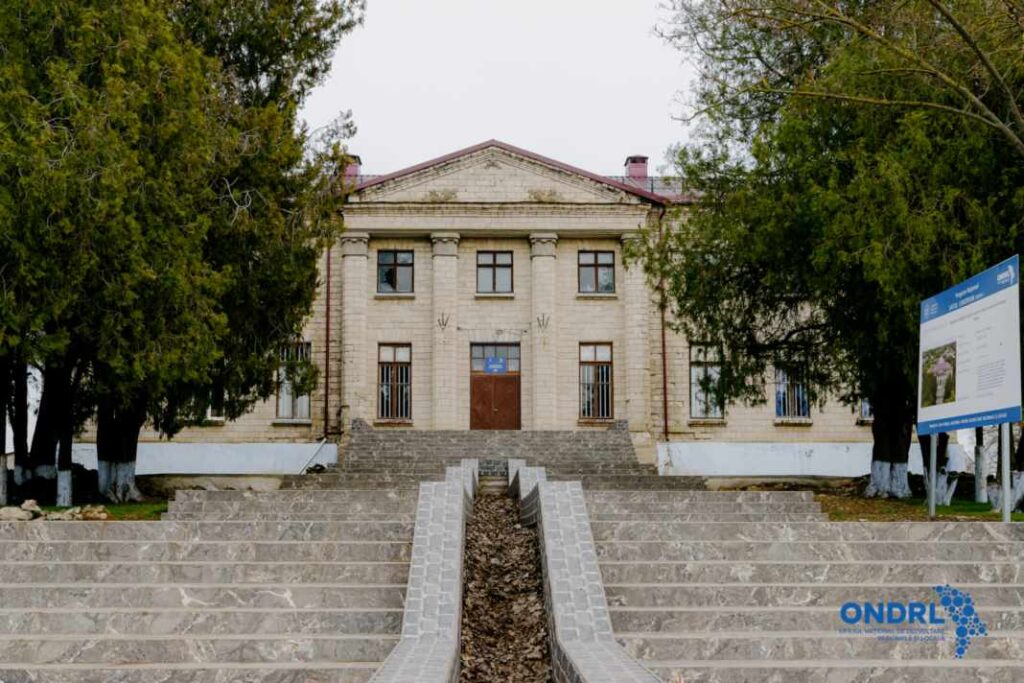 Молодых специалистов сферы культуры приглашают на работу по всей Молдове — в том числе в Гагаузии