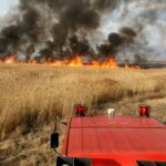 Во время уборки урожая в Теленештском районе загорелось пшеничное поле