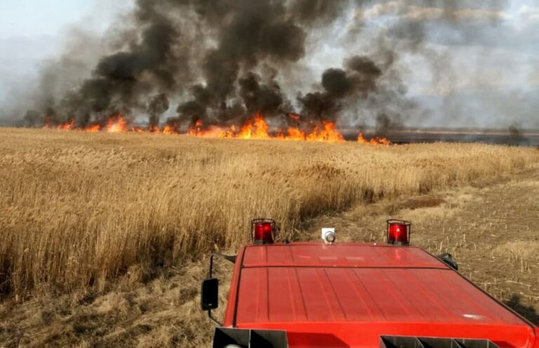 В Теленештском районе пожарные спасли 25 гектаров пшеницы от огня