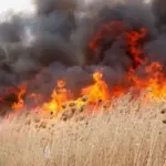 В Молдове объявили «желтый» код из-за высокой пожароопасности