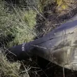 Дрон «Шахед» взорвался вблизи села в Зоне безопасности
