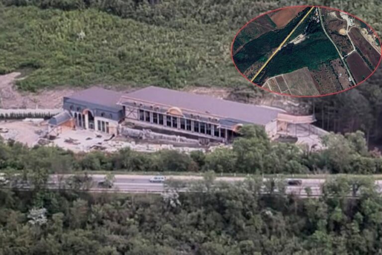 На окраине Кишинёва незаконная застройка уничтожила почти 9000 м² леса — прокуратура начала проверку
