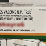 В Молдове пополнили годовой запас вакцины от бешенства