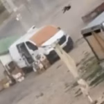 Дроновая охота РФ на мирного жителя на рынке Херсона попала на видео. Зеленский: «Мир должен это увидеть»