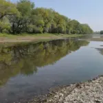 Уровень воды в Новоднестровском водохранилище упал на 4 метра — жителей Молдовы призывают экономить воду