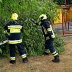 Сильный ветер повалил деревья и повредил крыши на севере и в центре Молдовы