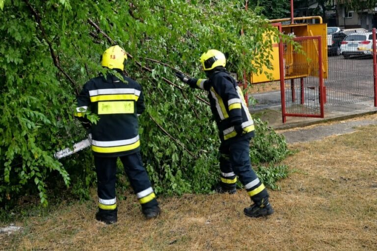 Сильный ветер повалил деревья и повредил крыши на севере и в центре Молдовы