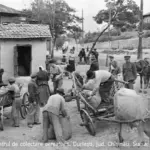Голод 1946–1947 годов в Молдове официально признают преступлением советского тоталитарного режима против человечности