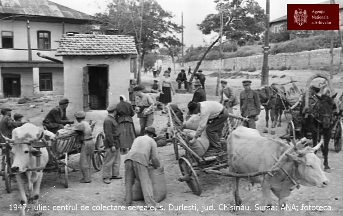 Насильственный сбор зерна в Дурлештах в 1947 году