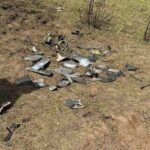 (ФОТО) В Крокмазе мог упасть дрон-ракета — такой аппарат в Молдове обнаружили впервые