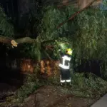 В Молдове объявили жёлтый код из-за сильного ветра: рекомендации спасателей