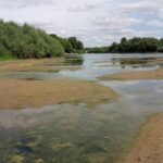 Обмеление Днестра: вблизи Тирасполя обнаружили снаряд Второй мировой