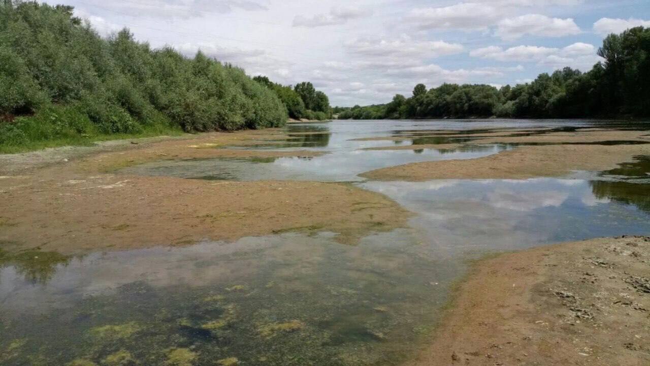 Обмеление Днестра: вблизи Тирасполя обнаружили снаряд Второй мировой