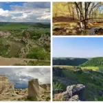 Лесной мост, «Малая Швейцария» и «Зуб Дракона»: маршрут по окрестностям Единец