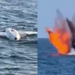 Румыния уничтожила у своих берегов в Чёрном море вблизи газового месторождения два российских дрона