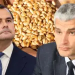 Тофан и Слусарь обсудили транзит украинского зерна — вскоре пройдёт ещё одна встреча