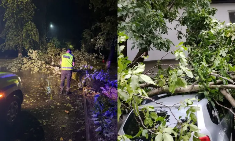 (ФОТО/ВИДЕО) Около 100 деревьев за полчаса: как сильный ветер с ливнем прошёлся по Унгенам
