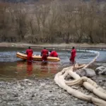 На Днестре демонтировали последние заграждения, установленные после загрязнения нефтепродуктами
