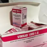 В Молдове дополнительно закупили иммуноглобулин от бешенства на фоне эпидемиологической ситуации 