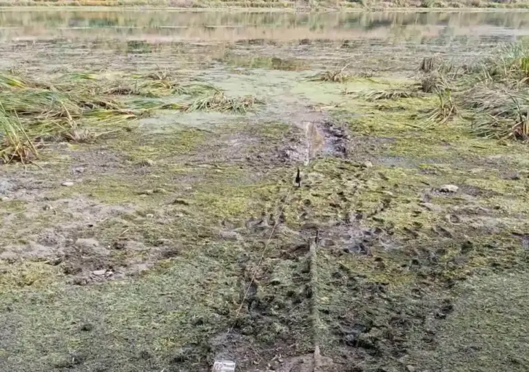Уровень Днестра падает на севере Молдовы: есть ли угроза водоснабжению