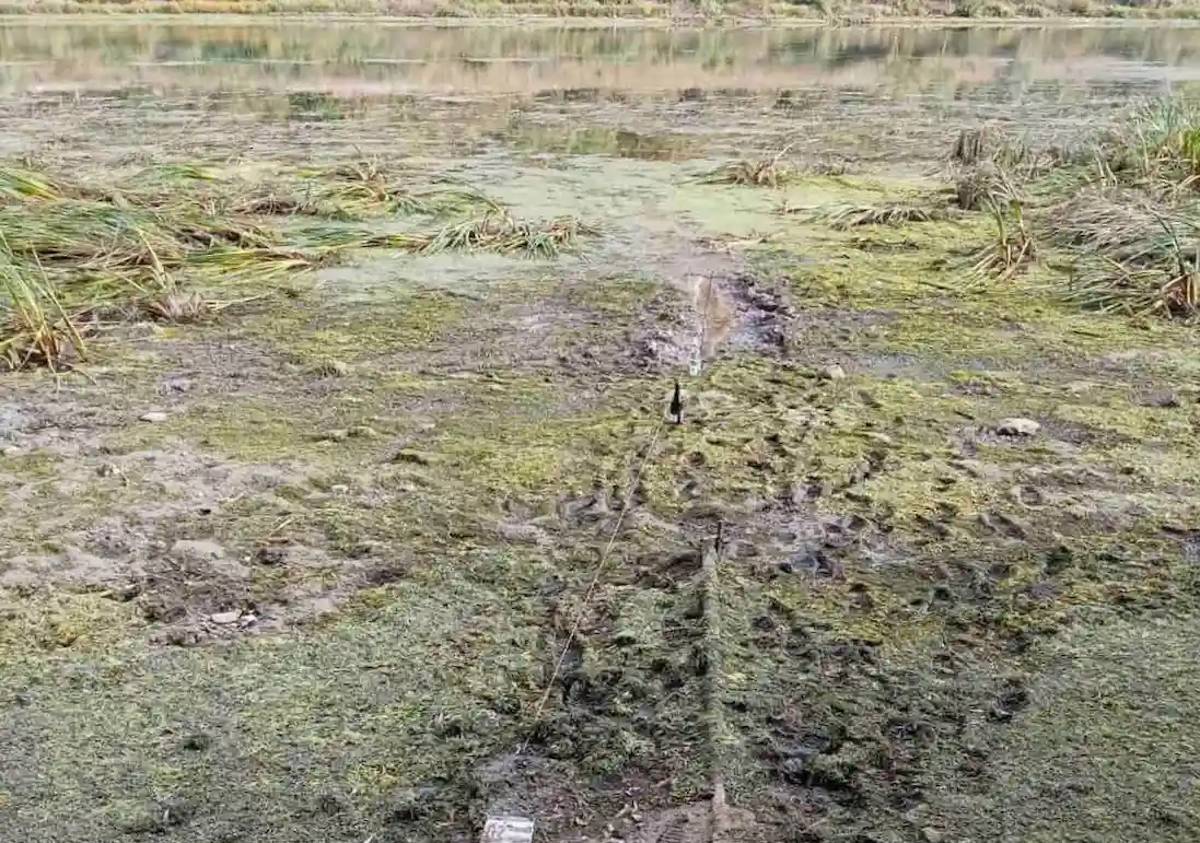 Уровень Днестра падает на севере Молдовы: есть ли угроза водоснабжению