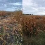 На севере Молдовы взорвались два дрона