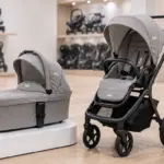 Коляски 2 в 1: обзор моделей и цен в магазине Mamico